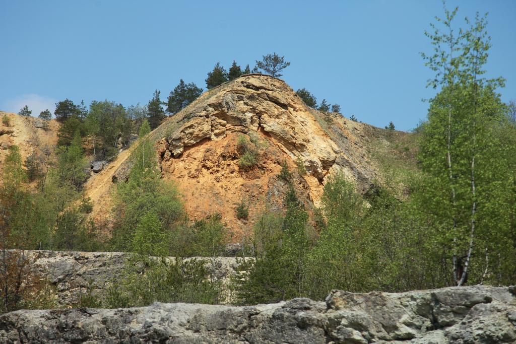 Luisenhof Ξενοδοχείο Geisfeld  Εξωτερικό φωτογραφία